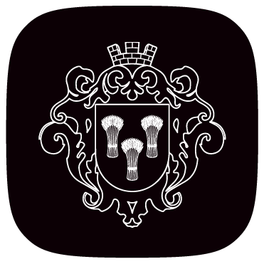 Герб міста Тульчинської громади